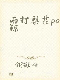 雨打梨花po问鲸