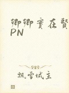 卿卿实在贤良NPN