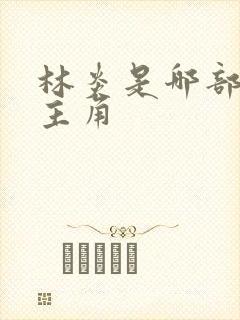 林炎是哪部小说主角