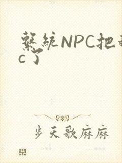 系统NPC把我c了