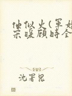 他似火(军婚)宋暖顾时全文阅读封面