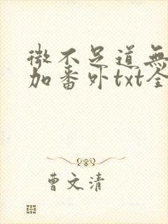 微不足道无删减加番外txt全文免费阅封面