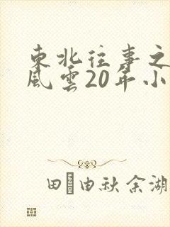 东北往事之黑道风云20年小说