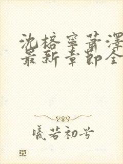 沈榕宁萧泽小说最新章节全文阅读