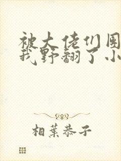 被大佬们团宠后我野翻了小说全文免费阅读