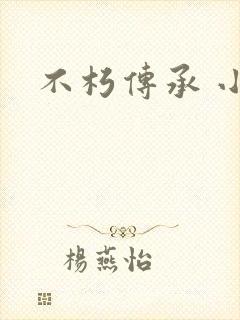 不朽传承 小说
