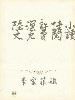陆溟许佳小说全文免费阅读