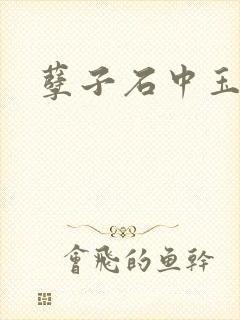 孽子石中玉