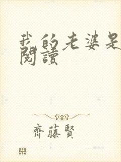 我的老婆是总裁阅读
