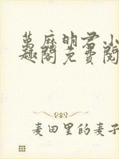 万历明君小说笔趣阁免费阅读封面