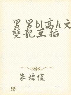 男男bl高h文双龙互插