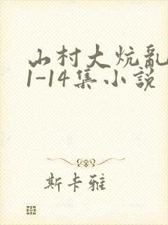 山村大炕乱肉续1-14集小说封面