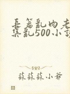 长篇乱肉老师合集乱500小说封面