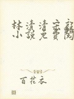 林清清宋毅远的小说免费阅读封面