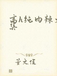 高h纯肉辣文合集