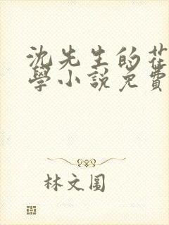 沈先生的花式教学小说免费封面