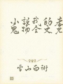小说我的老公是鬼物全文免费阅读