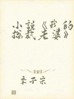 小说《我的冷艳总裁老婆》