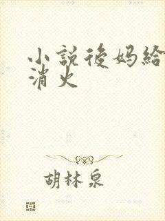小说后妈给我消消火