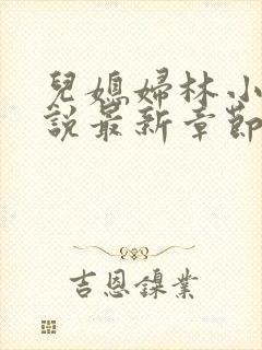 儿媳妇林小雅小说最新章节免费阅读封面