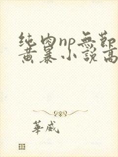 纯肉np无节操黄暴小说高h