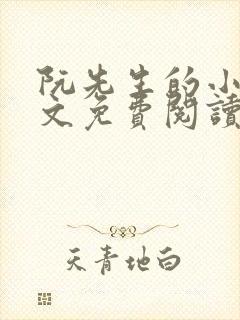 阮先生的小说全文免费阅读无弹窗封面