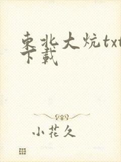 东北大炕txt下载