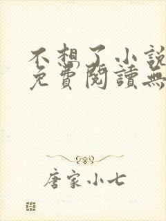不想了小说全文免费阅读无弹窗