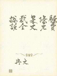 总裁是条骚狗小说全文免费阅读