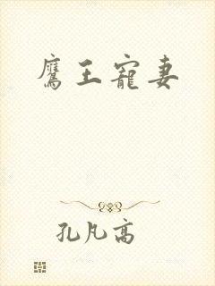 鹰王宠妻