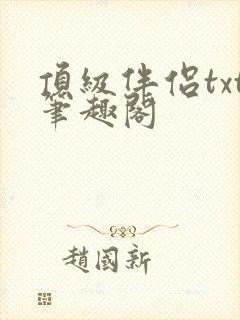 顶级伴侣txt笔趣阁封面