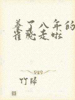 养了八年的金丝雀飞走啦封面