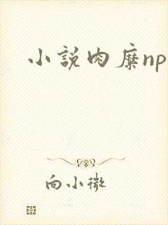 小说肉糜np封面