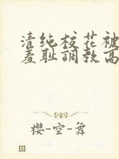 清纯校花被民工羞耻调教高hby留意zzz