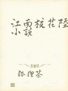 江南校花陆冰嫣小说