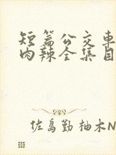 短篇公交车高h肉辣全集目录