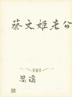 蔡文姬老公