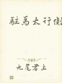 驻马太行侧