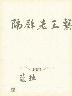 隔壁老王系统