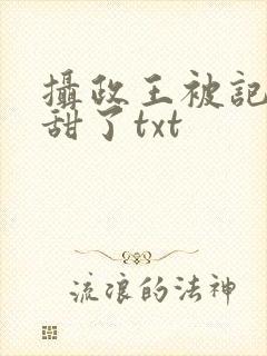 摄政王被记我太甜了txt
