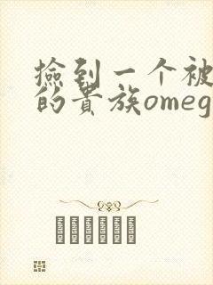 捡到一个被抹布的贵族omega