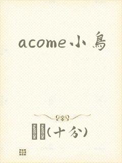 acome小鸟封面