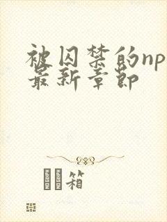 被囚禁的npc最新章节