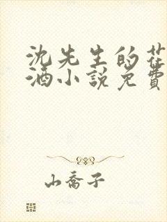 沈先生的花式调酒小说免费阅读