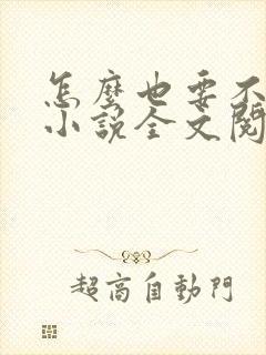 怎么也要不够她小说全文阅读