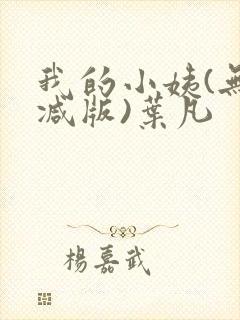 我的小姨(无删减版)叶凡