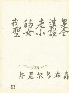 我的老婆是魔教圣女小说全文阅读