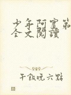 少年阿宾第二部全文阅读封面