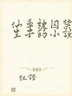 仙尊被囚禁改造生子的小说