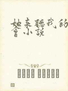 她来听我的演唱会小说封面